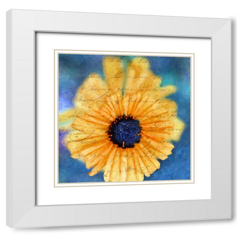 SCRIPTED WILD SUNFLOWER II White Modern Wood Framed Art Print with Double Matting by Greene, Taylor
