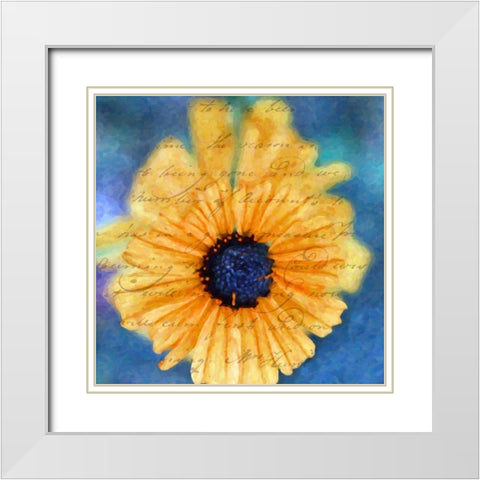 SCRIPTED WILD SUNFLOWER II White Modern Wood Framed Art Print with Double Matting by Greene, Taylor