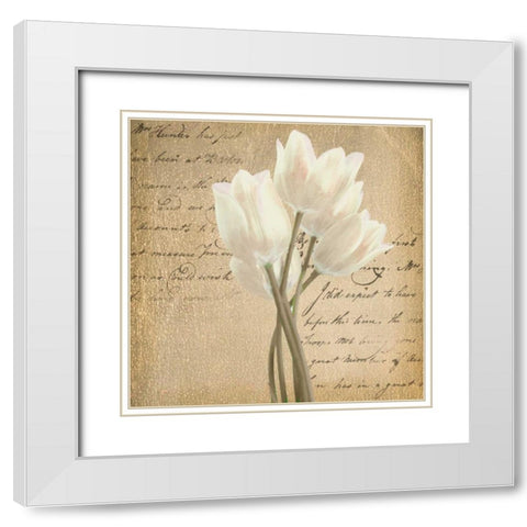 WHITE TULIP ON GOLD White Modern Wood Framed Art Print with Double Matting by Greene, Taylor