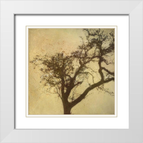 Silo Beauty Tree White Modern Wood Framed Art Print with Double Matting by Greene, Taylor