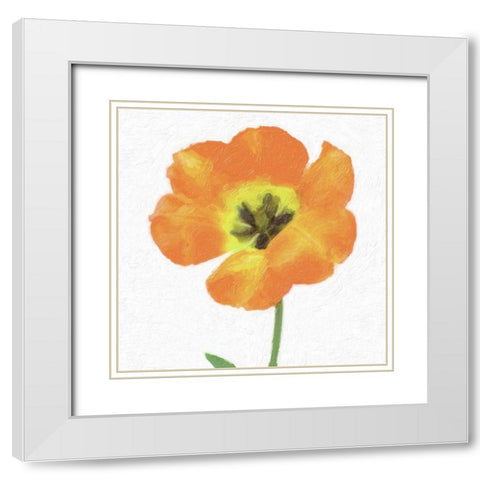 CIRCUS ROSE White Modern Wood Framed Art Print with Double Matting by Greene, Taylor