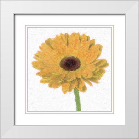 GERBER White Modern Wood Framed Art Print with Double Matting by Greene, Taylor
