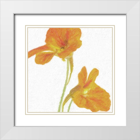 TANGERINE FLORAL PAIR White Modern Wood Framed Art Print with Double Matting by Greene, Taylor