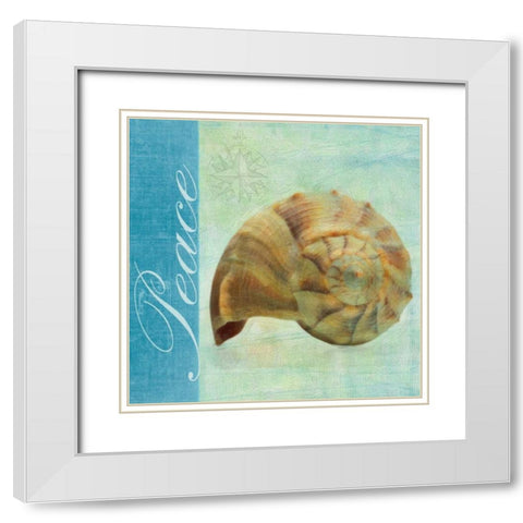 PEACE SHELL White Modern Wood Framed Art Print with Double Matting by Greene, Taylor