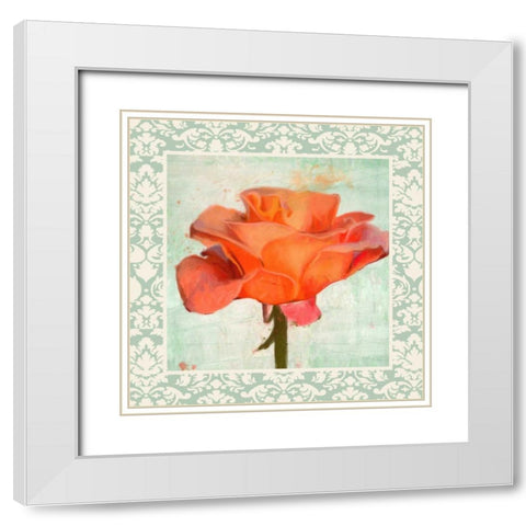 DAMASK ROSE I White Modern Wood Framed Art Print with Double Matting by Greene, Taylor