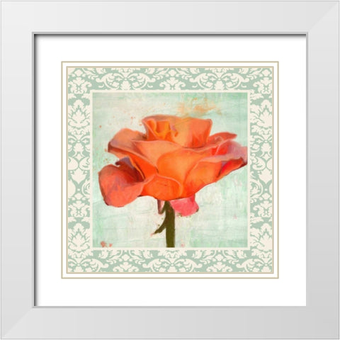 DAMASK ROSE I White Modern Wood Framed Art Print with Double Matting by Greene, Taylor