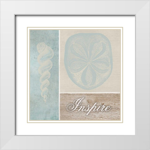 Inspire Shells White Modern Wood Framed Art Print with Double Matting by Greene, Taylor