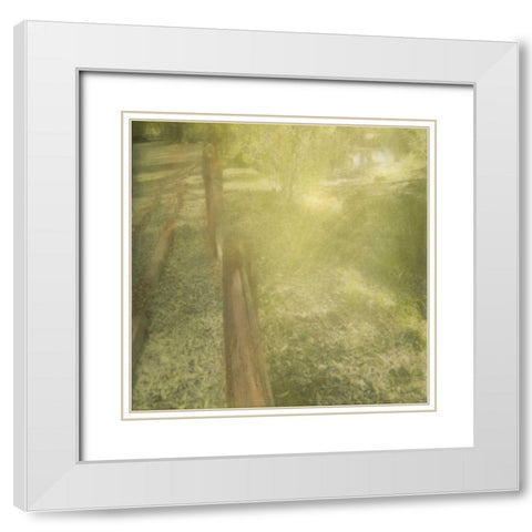 Sunlight Silhouette White Modern Wood Framed Art Print with Double Matting by Greene, Taylor