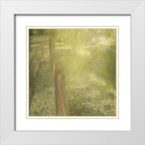 Sunlight Silhouette White Modern Wood Framed Art Print with Double Matting by Greene, Taylor