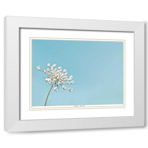 Lace 1 Blue White Modern Wood Framed Art Print with Double Matting by Telik, Tracey