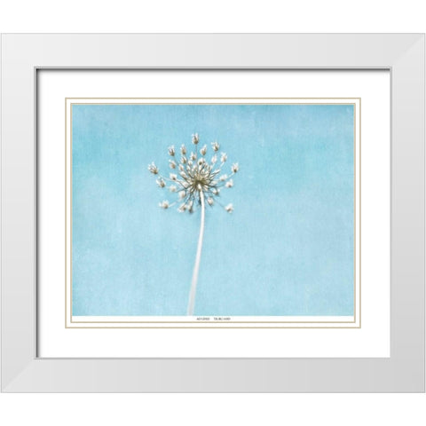 Lacey Texture 2 White Modern Wood Framed Art Print with Double Matting by Telik, Tracey