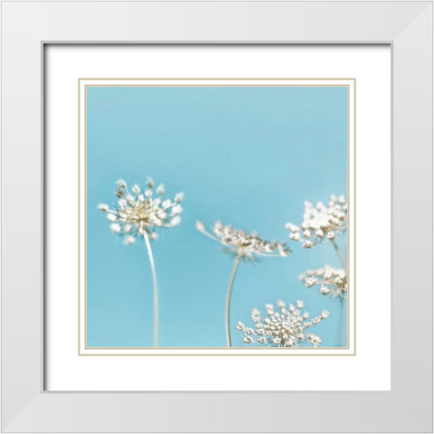 Queens 40 White Modern Wood Framed Art Print with Double Matting by Telik, Tracey