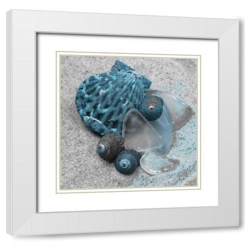 Blue Shells White Modern Wood Framed Art Print with Double Matting by Pazan, Tony