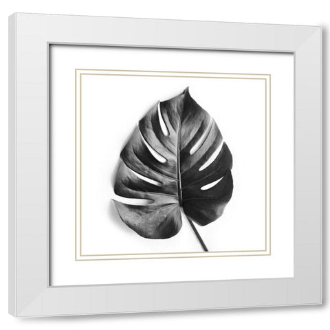 Monstera White Modern Wood Framed Art Print with Double Matting by Urban Epiphany