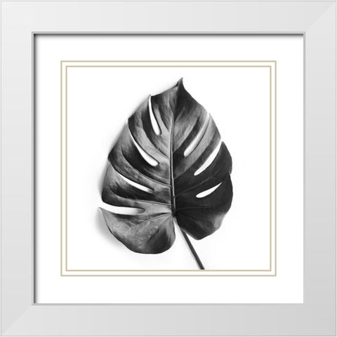 Monstera White Modern Wood Framed Art Print with Double Matting by Urban Epiphany