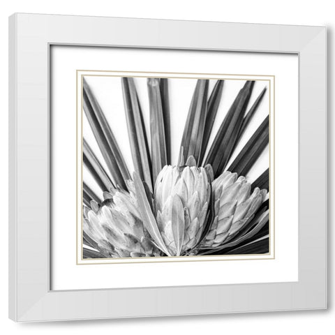Protea White Modern Wood Framed Art Print with Double Matting by Urban Epiphany