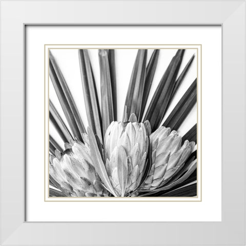 Protea White Modern Wood Framed Art Print with Double Matting by Urban Epiphany