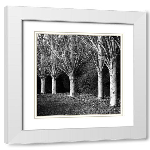 Winter Avenue Square White Modern Wood Framed Art Print with Double Matting by Urban Epiphany