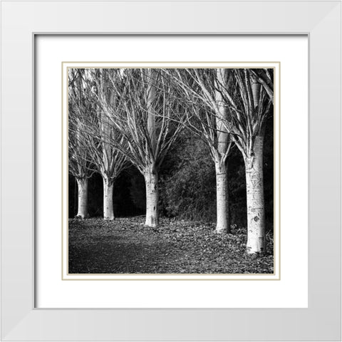 Winter Avenue Square White Modern Wood Framed Art Print with Double Matting by Urban Epiphany
