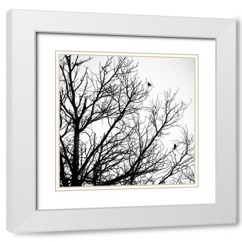 Winter Birds White Modern Wood Framed Art Print with Double Matting by Urban Epiphany