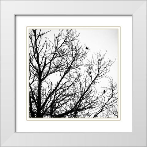 Winter Birds White Modern Wood Framed Art Print with Double Matting by Urban Epiphany