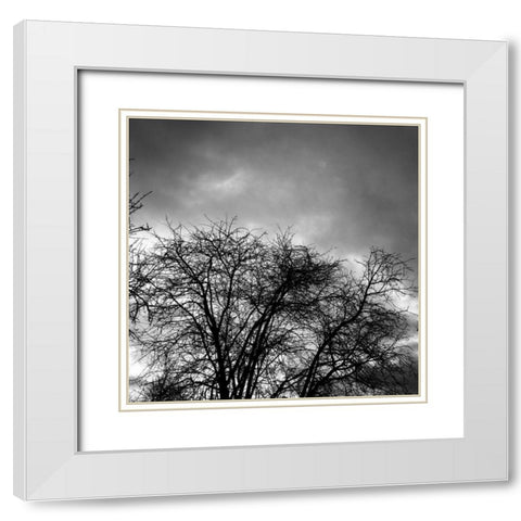 Winter Sky Square White Modern Wood Framed Art Print with Double Matting by Urban Epiphany