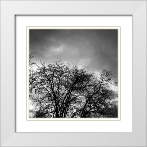 Winter Sky Square White Modern Wood Framed Art Print with Double Matting by Urban Epiphany