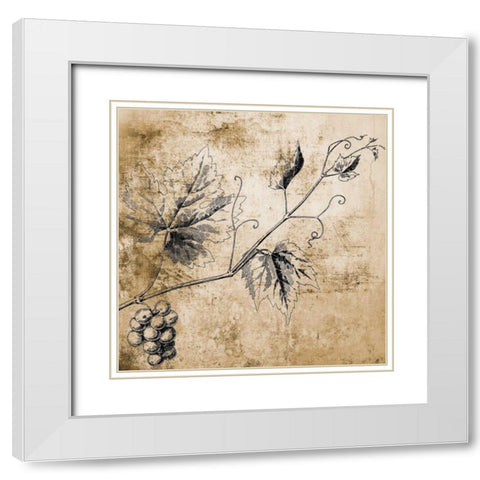 Grape Vine White Modern Wood Framed Art Print with Double Matting by Brown, Victoria