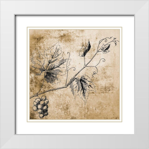 Grape Vine White Modern Wood Framed Art Print with Double Matting by Brown, Victoria