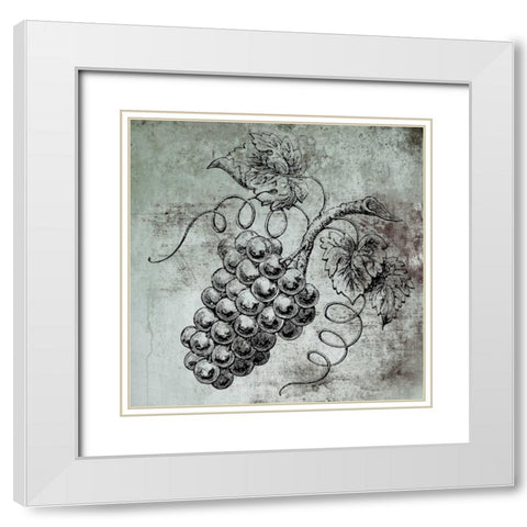 Vine Grapes White Modern Wood Framed Art Print with Double Matting by Brown, Victoria
