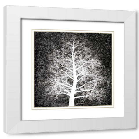 Nordic Spirit 4 White Modern Wood Framed Art Print with Double Matting by Brown, Victoria