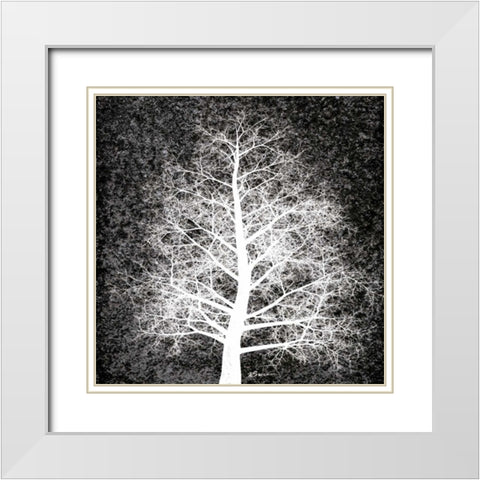 Nordic Spirit 4 White Modern Wood Framed Art Print with Double Matting by Brown, Victoria