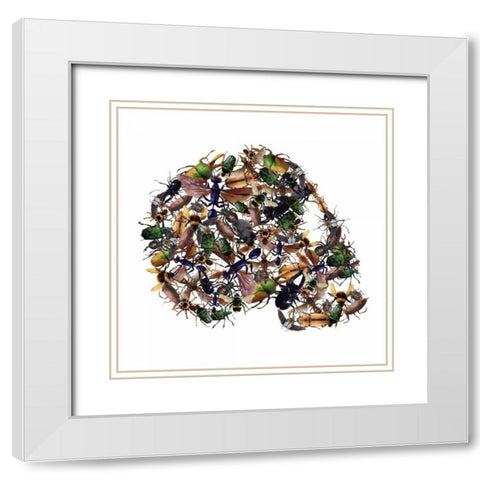Skull 1.3.2 White Modern Wood Framed Art Print with Double Matting by Brown, Victoria