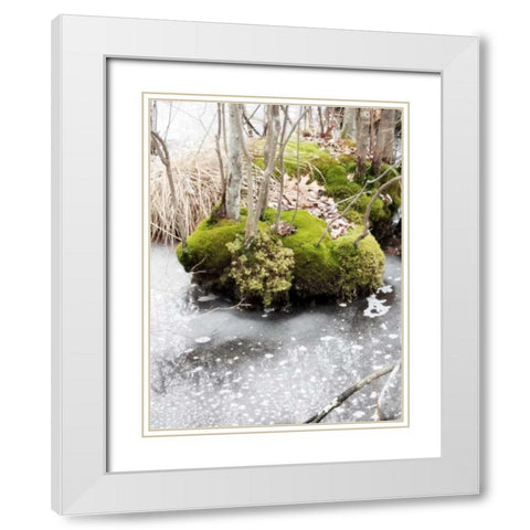 Winter Bog White Modern Wood Framed Art Print with Double Matting by Unknown
