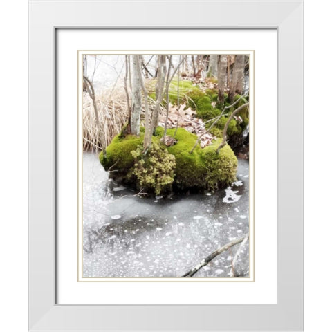 Winter Bog White Modern Wood Framed Art Print with Double Matting by Unknown
