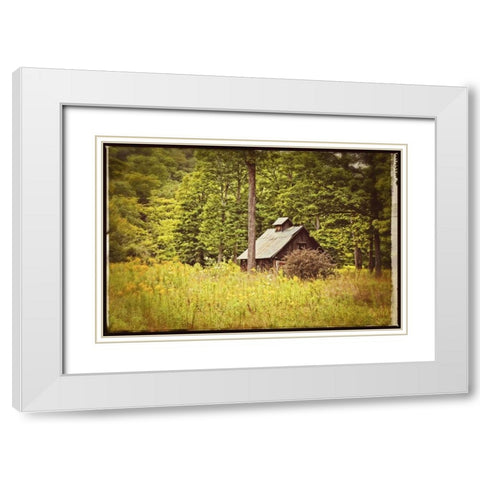 Country Barn 1 Vintage White Modern Wood Framed Art Print with Double Matting by Foschino, Suzanne