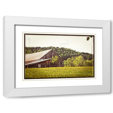 Country Barn 4 Vintage White Modern Wood Framed Art Print with Double Matting by Foschino, Suzanne