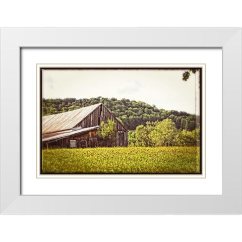 Country Barn 4 Vintage White Modern Wood Framed Art Print with Double Matting by Foschino, Suzanne