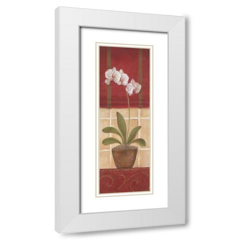 Window Wonders II White Modern Wood Framed Art Print with Double Matting by Tava Studios