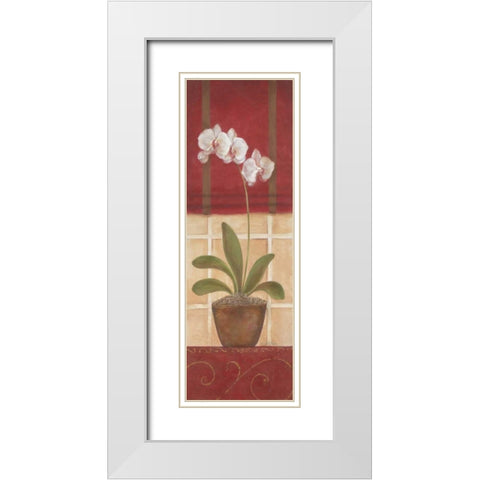 Window Wonders II White Modern Wood Framed Art Print with Double Matting by Tava Studios