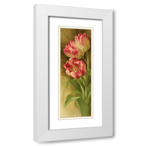 Springs Parrot Tulip I White Modern Wood Framed Art Print with Double Matting by Levashov, Igor
