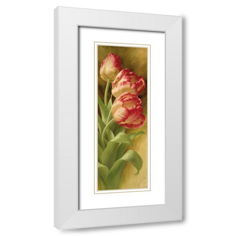 Springs Parrot Tulip II White Modern Wood Framed Art Print with Double Matting by Levashov, Igor