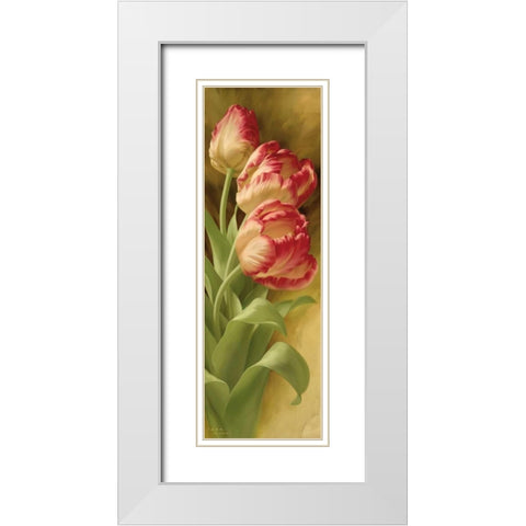 Springs Parrot Tulip II White Modern Wood Framed Art Print with Double Matting by Levashov, Igor