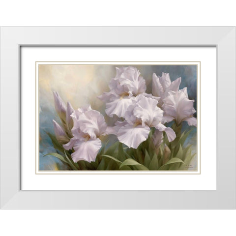 White Iris Elegance II White Modern Wood Framed Art Print with Double Matting by Levashov, Igor