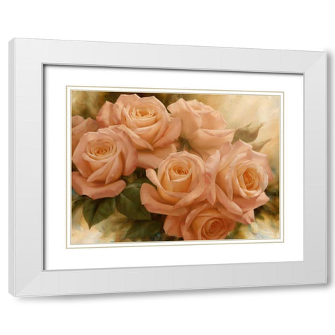 Peach Rose Splendor II White Modern Wood Framed Art Print with Double Matting by Levashov, Igor