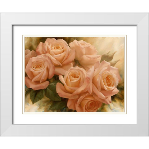 Peach Rose Splendor II White Modern Wood Framed Art Print with Double Matting by Levashov, Igor