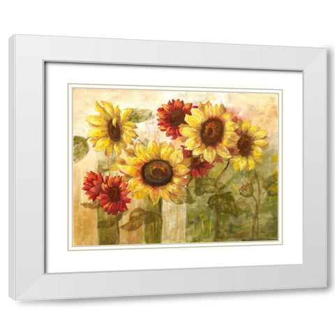 Sunflowers Delight White Modern Wood Framed Art Print with Double Matting by Nan