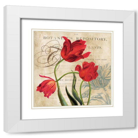 Botanists White Modern Wood Framed Art Print with Double Matting by Robinson, Carol