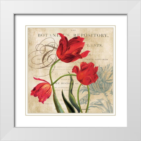 Botanists White Modern Wood Framed Art Print with Double Matting by Robinson, Carol