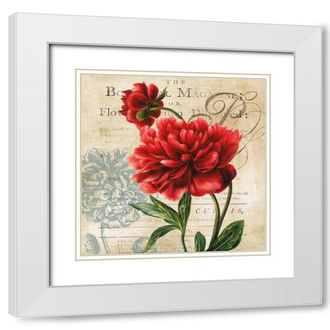 The Botanical White Modern Wood Framed Art Print with Double Matting by Robinson, Carol